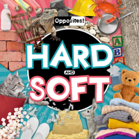 Hard and Soft 178637417X Book Cover