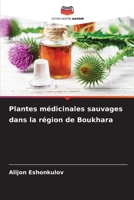 Plantes médicinales sauvages dans la région de Boukhara 6209695213 Book Cover