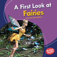 A First Look at Fairies 154159682X Book Cover