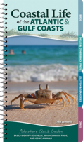 Coastal Life of the Atlantic and Gulf Coasts: Easily Identify Seashells, Beachcoming Finds, and Iconic Animals 1647551870 Book Cover