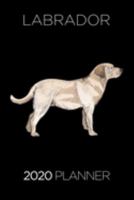 Planner: 2020 diary: Increase productivity, improve time management, reach your goals: Labrador retriever illustration trendy cover 1691809721 Book Cover