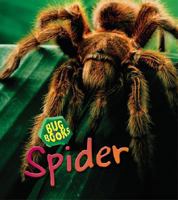 Spider (Take Off: Bug Books) 1575727994 Book Cover