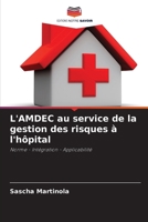 L'AMDEC au service de la gestion des risques à l'hôpital (French Edition) 6209929672 Book Cover
