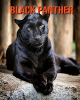 Black Panther: Fun Learning Facts About Black Panther B08KQDYLSB Book Cover