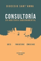 Consultoría En Auditoría Gubernamental: Qué es Para qué sirve Cómo se hace B0BPVX88WB Book Cover