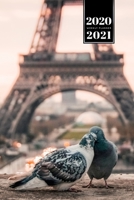 Pigeon Ornithology Bird Watching Birding Week Planner Weekly Organizer Calendar 2020 / 2021 - Lovers in Paris: Cute Wildlife Animal Pet Bullet Journal Notebook Diary in 6" x 9" Inch Pocket Size 1675778450 Book Cover