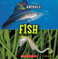 Fast and Slow: Fish 1338836552 Book Cover