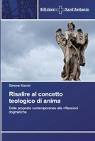 Risalire al concetto teologico di anima: Dalle proposte contemporanee alle riflessioni dogmatiche 6138391861 Book Cover