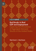 Bad Breaks in Real Gdp and Employment: Exploring the Persistence of Aggregate Demand Shocks in the United States 303157768X Book Cover