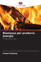 Biomassa per produrre energia: Energia da biomassa 6206065936 Book Cover