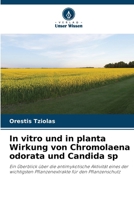 In vitro und in planta Wirkung von Chromolaena odorata und Candida sp (German Edition) 6208368413 Book Cover