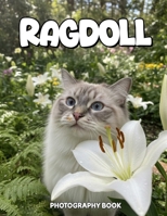 Ragdoll Photography Book: Captivating Real Life Portraits Of The Elegant Ragdoll Breed B0GRZT84SV Book Cover