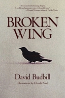 Broken Wing 1582706875 Book Cover