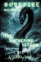 Soulfire: Volume IX: The Gathering Storm 1972785087 Book Cover