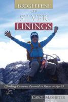 Brightest of Silver Linings 1593308663 Book Cover