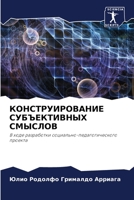 КОНСТРУИРОВАНИЕ СУБЪЕКТИВНЫХ СМЫСЛОВ: В ходе разработки социально-педагогического проекта 6204150863 Book Cover