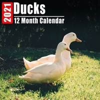 Calendar 2021 Ducks: Cute Duck Photos Monthly Mini Calendar With Inspirational Quotes each Month B08DC63VQJ Book Cover