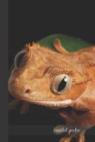 Crested Gecko: small lined Gecko Notebook / Travel Journal to write in (6'' x 9'') 120 pages 1089151179 Book Cover