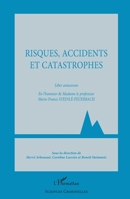 Risques, accidents et catastrophes: Liber amicorum En l'honneur de Madame le professeur Marie-France Steinlé-Feuerbach (Sciences Criminelles) (French Edition) 2343071691 Book Cover