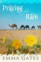 Praying for Rain 0988890674 Book Cover