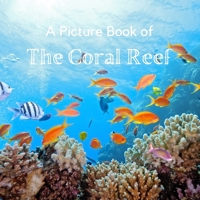 A Picture Book of The Coral Reef: A No Text Picture Book for Alzheimer’s Patients and Seniors Living With Dementia. B092HCS3X3 Book Cover