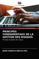 Principes Fondamentaux de la Gestion Des Risques 6203622761 Book Cover