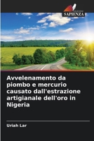 Avvelenamento da piombo e mercurio causato dall'estrazione artigianale dell'oro in Nigeria 6209179762 Book Cover