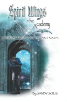 The Academy: Spirit Wings - Book One 1492760315 Book Cover