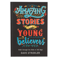 Amazing Stories for Young Believers 143212885X Book Cover