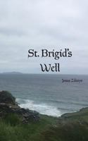 St. Brigid's Well 0944048749 Book Cover