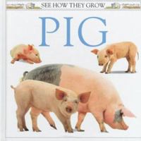 See How They Grow Pig with Sticker (See How They Grow) 1564582043 Book Cover