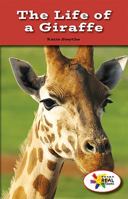 The Life of a Giraffe 1499491476 Book Cover