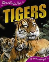 Tigers (QEB Animal Lives) 1420681613 Book Cover