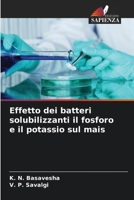 Effetto dei batteri solubilizzanti il fosforo e il potassio sul mais (Italian Edition) 6209877230 Book Cover
