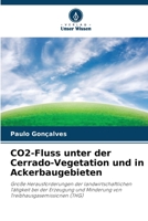 CO2-Fluss unter der Cerrado-Vegetation und in Ackerbaugebieten: Große Herausforderungen der landwirtschaftlichen Tätigkeit bei der Erzeugung und ... Treibhausgasemissionen (THG) 6205995670 Book Cover