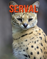 Serval: A Children Pictures Book About Serval With Fun Serval Facts and Photos For Kids B08CPLDSZ2 Book Cover