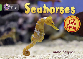 Seahorses: Band 05/Green (Collins Big Cat) 0007461917 Book Cover