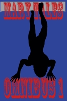 Mary Tales Omnibus (Mary Tales Collections) B0F5Z384ZD Book Cover