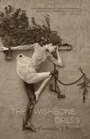 The Wishbone Dress 1949344096 Book Cover