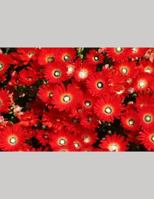 Notebook 1794288546 Book Cover