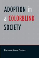 Adoption in a Colorblind Society 0742559424 Book Cover