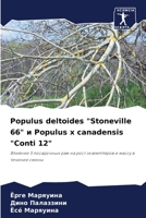 Populus deltoides "Stoneville 66" ? Populus x canadensis "Conti 12" (Russian Edition) 6206916537 Book Cover