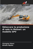 Sbloccare la produzione di sale in Malawi: un modello SPV (Italian Edition) 6209975461 Book Cover