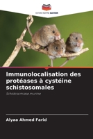 Immunolocalisation des protéases à cystéine schistosomales (French Edition) 6630538498 Book Cover