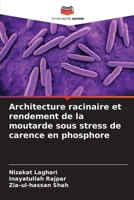 Architecture racinaire et rendement de la moutarde sous stress de carence en phosphore (French Edition) 6209894844 Book Cover