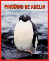 Pingüino de Adelia: Datos superdivertidos e imágenes asombrosas B08RLHZHXG Book Cover