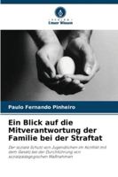 Ein Blick auf die Mitverantwortung der Familie bei der Straftat (German Edition) 6207840089 Book Cover