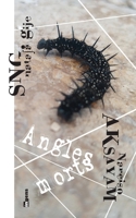 Angles morts 2492346072 Book Cover