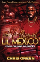 The Plug of Lil Mexico 1955270791 Book Cover