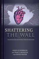 Shattering the Wall: Imagine Health Care without Preventable Harm 1483484505 Book Cover